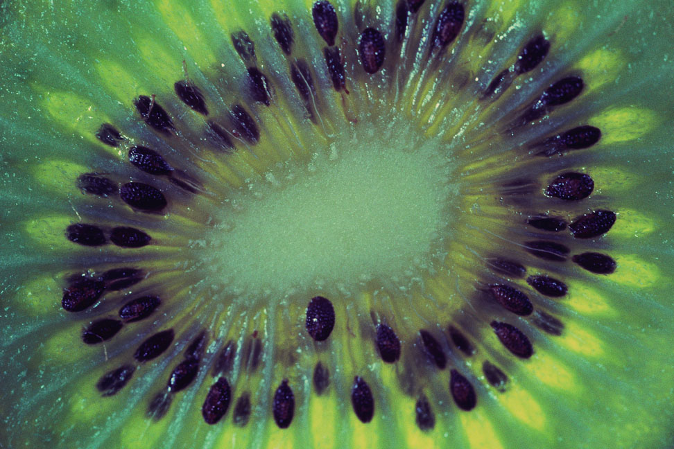 Close-up of kiwi fruit cross-section	Color Image, Horizontal, Full Frame, Photography, Nobody, Abstract, Close-up, Detail, Day, Indoors, Food And Drink, Backgrounds, Food, Slice, Seed, Pattern, Shape, Geometric Shape, Ellipse, Green, Fresh Food, Fruit, Tropical Fruit, Kiwi, Single Object, Cross Section	EyeWire Collection